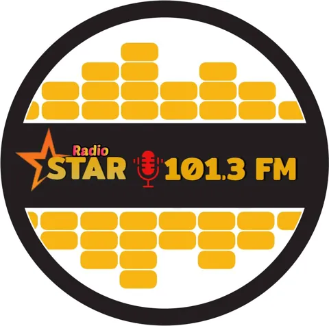 Logo Radiostar 101.3