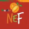Radio NeF