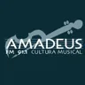 Amadeus 91.1 FM