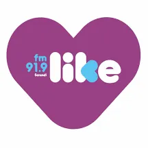 Logo Fm Like 91.9