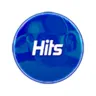 Ibiza FM Radio Hits